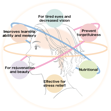 activation of the brain image